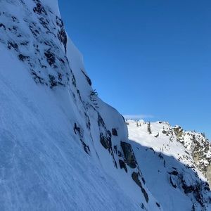 Meet your Posher, Shauna